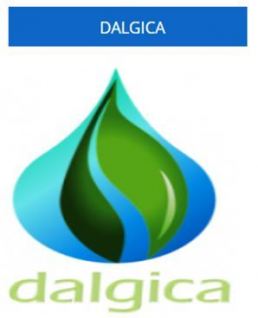 gallery/Dalgica logo